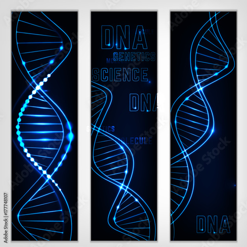 DNA Molecule Image