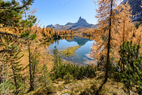 Dolomites. Autumn colors and reflections. The mountain dresses in the fall © Nicola Simeoni