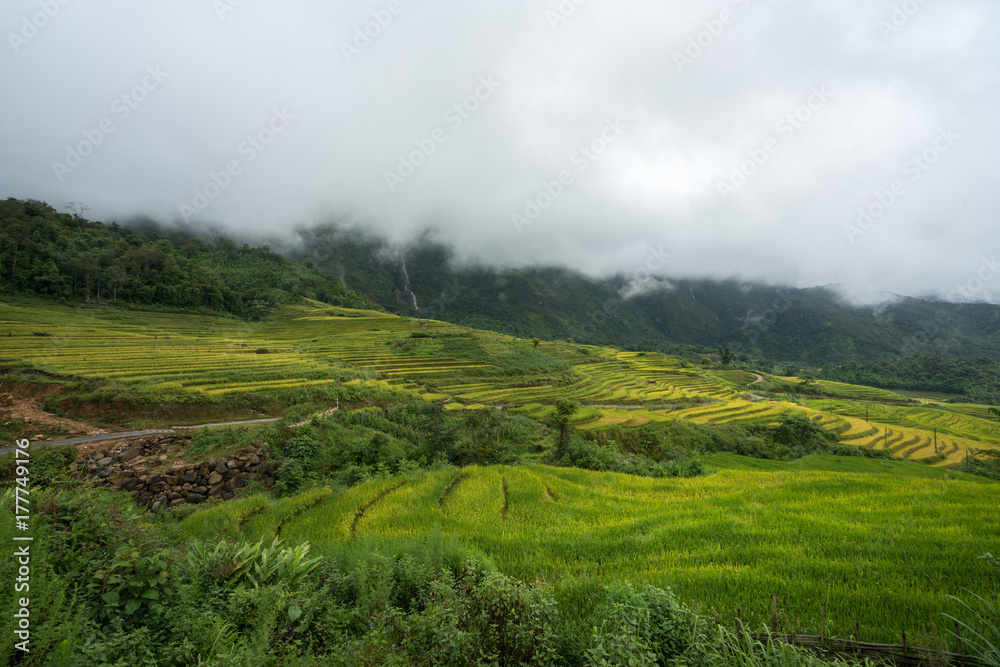 Terraced rice field landscape with low clouds in Y Ty, Bat Xat district, Lao Cai, north Vietnam