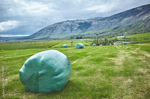 hay bales in a field. Travel to Iceland. Hay bales in green plastic film stacked on a huge field. photo