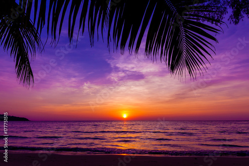 Fototapeta Naklejka Na Ścianę i Meble -  Palm trees silhouette at sunset. sunset and beach. Beautiful sunset above the sea