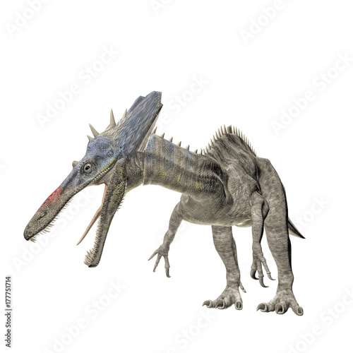 suchomimus photo