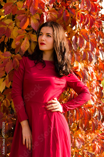 Beautiful woman in the autumn park