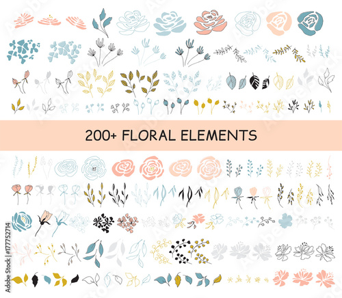 Set of floral elements