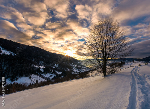 footpath through snowy rural hillside. gorgeous sunrise in mountainous winter countryside © Pellinni