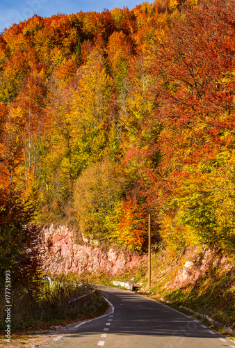 road through forest on a steep slope. beautiful transportation scenery in autumn