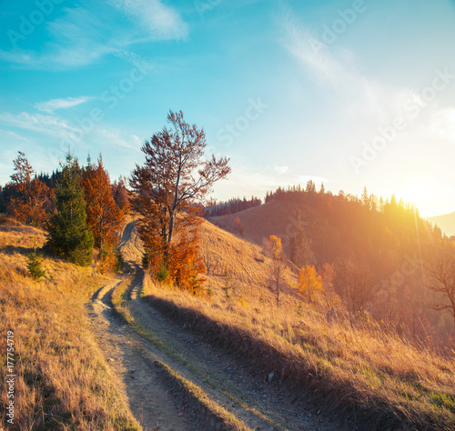 Colorful autumn landscape in the mountain village. Foggy morning in the Carpathian mountains. Sokilsky ridge, Ukraine, Europe. photo