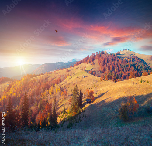 Colorful autumn landscape in the mountain village. Foggy morning in the Carpathian mountains. Sokilsky ridge  Ukraine  Europe.