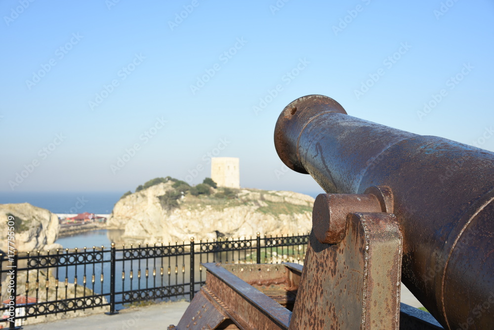 Cannon in front of castle