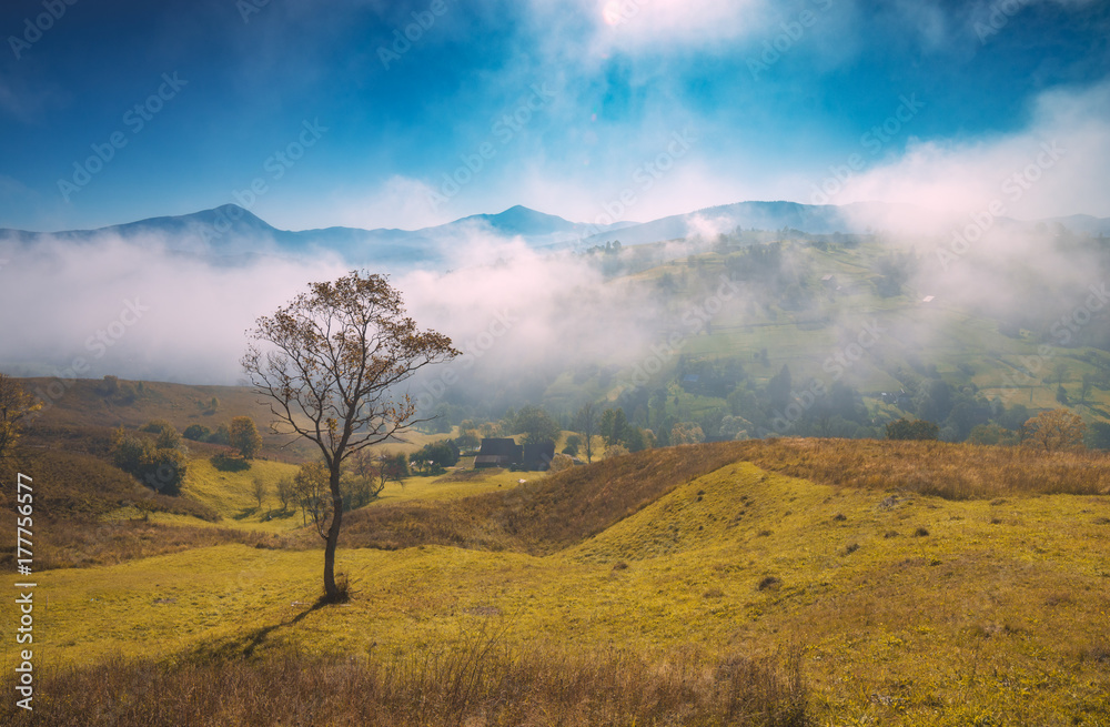 Amazing morning scene in the mountain valley