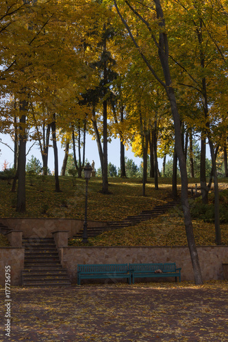 Autumn park © colt1911a1