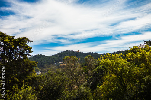 Forest of Monserrate Park and Pena Palace in the background (Sintra, Portugal)