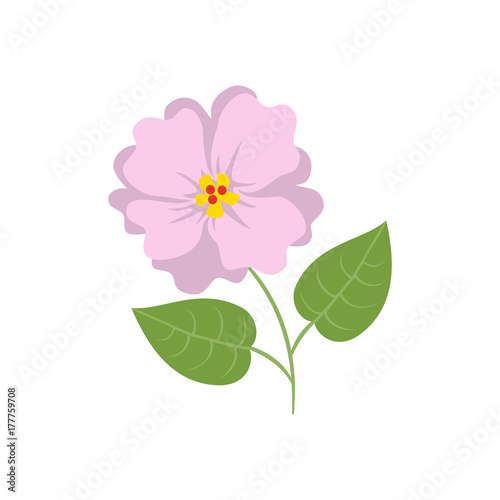 Hibiscus icon on the white background.