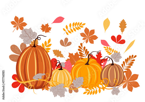 Autumn leaves and pumpkins on white background. Autumn background, red, orange, yellow and brown colors.
