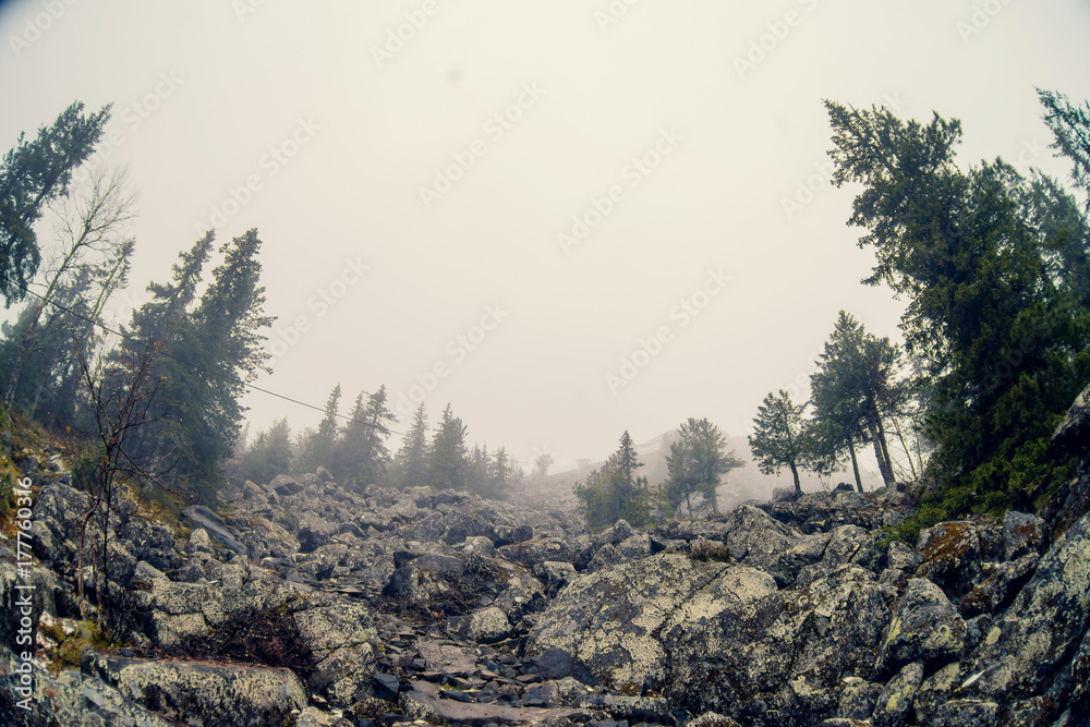 Cloudy landscape in mountains, Olympic National Park, Washington, USA Cloudy landscape in mountains, Olympic National Park, Washington, USA