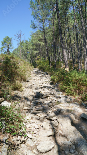 Pilgrim trail, Camino de Santiago, Portugal