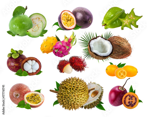 collection of exotic fruits isolated on white background