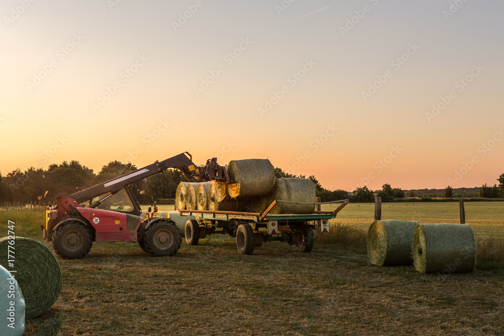 Obraz premium Ein Traktor lädt Ballen vom Anhänger aufs Feld um