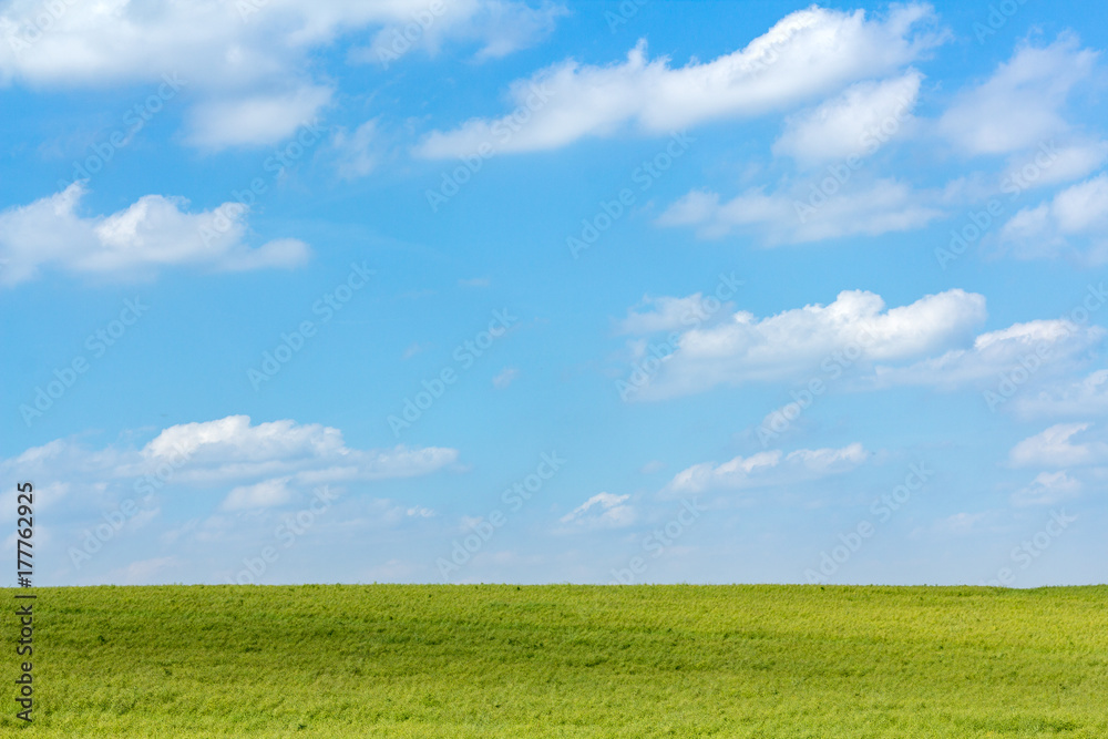 Reine Natur: strahlend blauer Himmel über grünem Feld