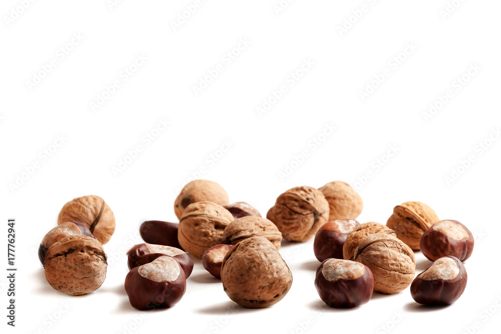 Walnuts and chestnuts isolated on white background