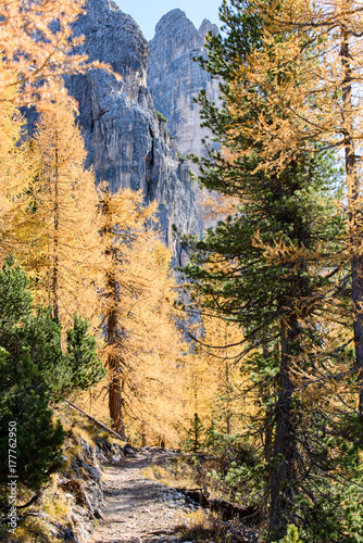 Golden larch reflections. Autumn Dolomites