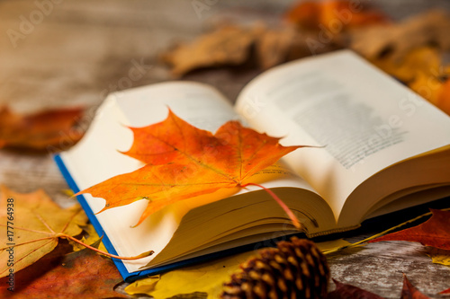 Open book with autumn leaves on it. Yellow orange red. Background.