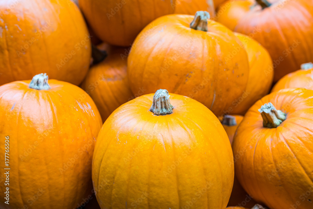 Orange pumpkins close up, halloween background Orange pumpkins close up, halloween background