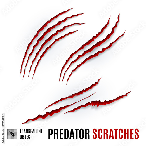 Predator Scratches