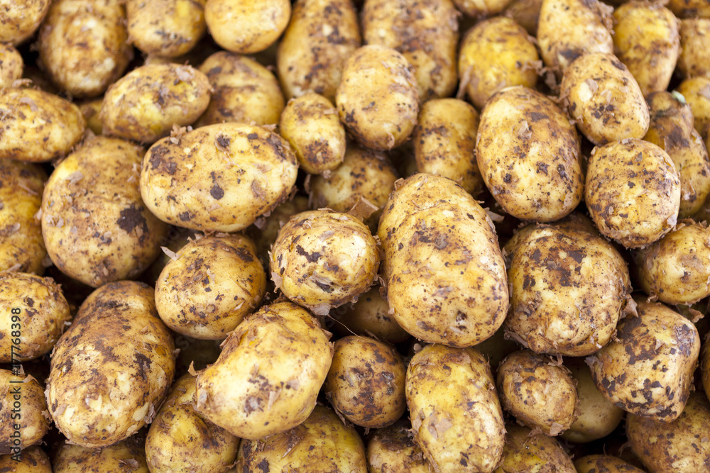 Fresh potato close up at the village market . Greece. Fresh potato close up at the village market . Greece.