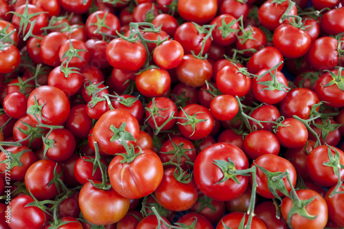 Qualitative background from tomatoes. Fresh tomatoes. Red tomatoes. Village market organic tomatoes.