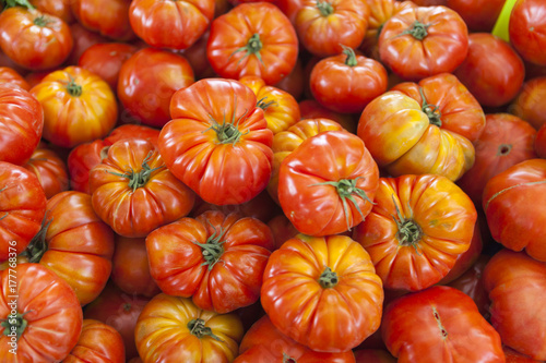 Village market organic tomatoes. Qualitative background from tomatoes. Fresh tomatoes. Red tomatoes.