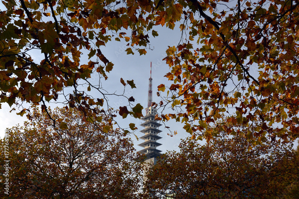 Fototapeta premium Fernsehturm