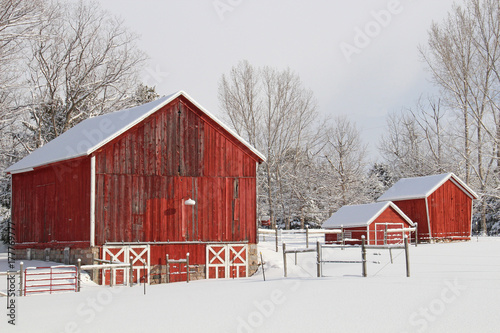 Red Barn in Winter