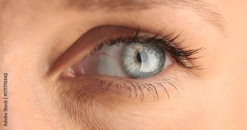 closeup of woman's eye. blue eye closeup of woman's eye. blue eye