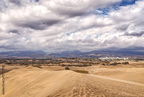 D  nen von Maspalomas