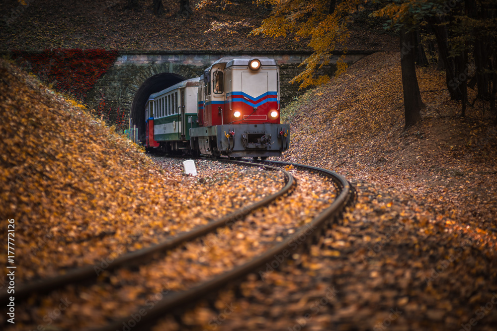 Φωτογραφία Budapest, Hungary - Beautiful autumn forest with foliage and old colorful train