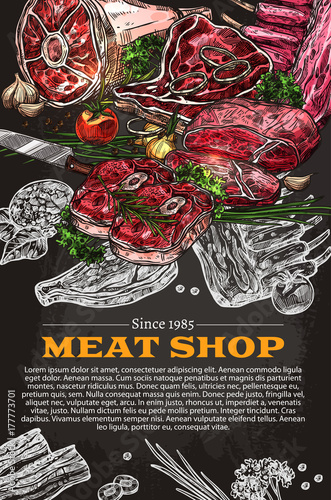 Vector poster of butchery shop meat product sketch