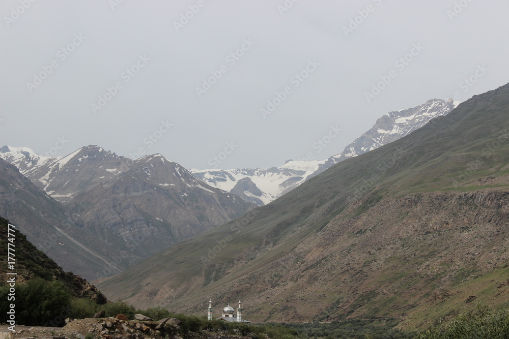 beautiful mountain landscape. wild nature of northern india