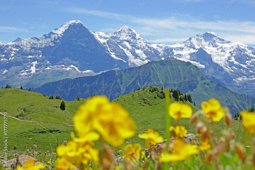 alpen: eiger, berner oberland, schweiz 