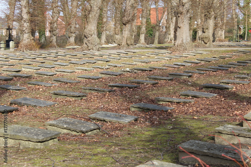 The old graveyard Gudsageren in Denmark