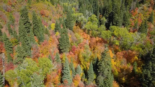 Aerial mountain valley beautiful autumn trees colorful. Beautiful autumn fall colors along Wasatch Mountains. Rural farming community road through hills to canyon. Mount Nebo Scenic Byway, Utah. photo