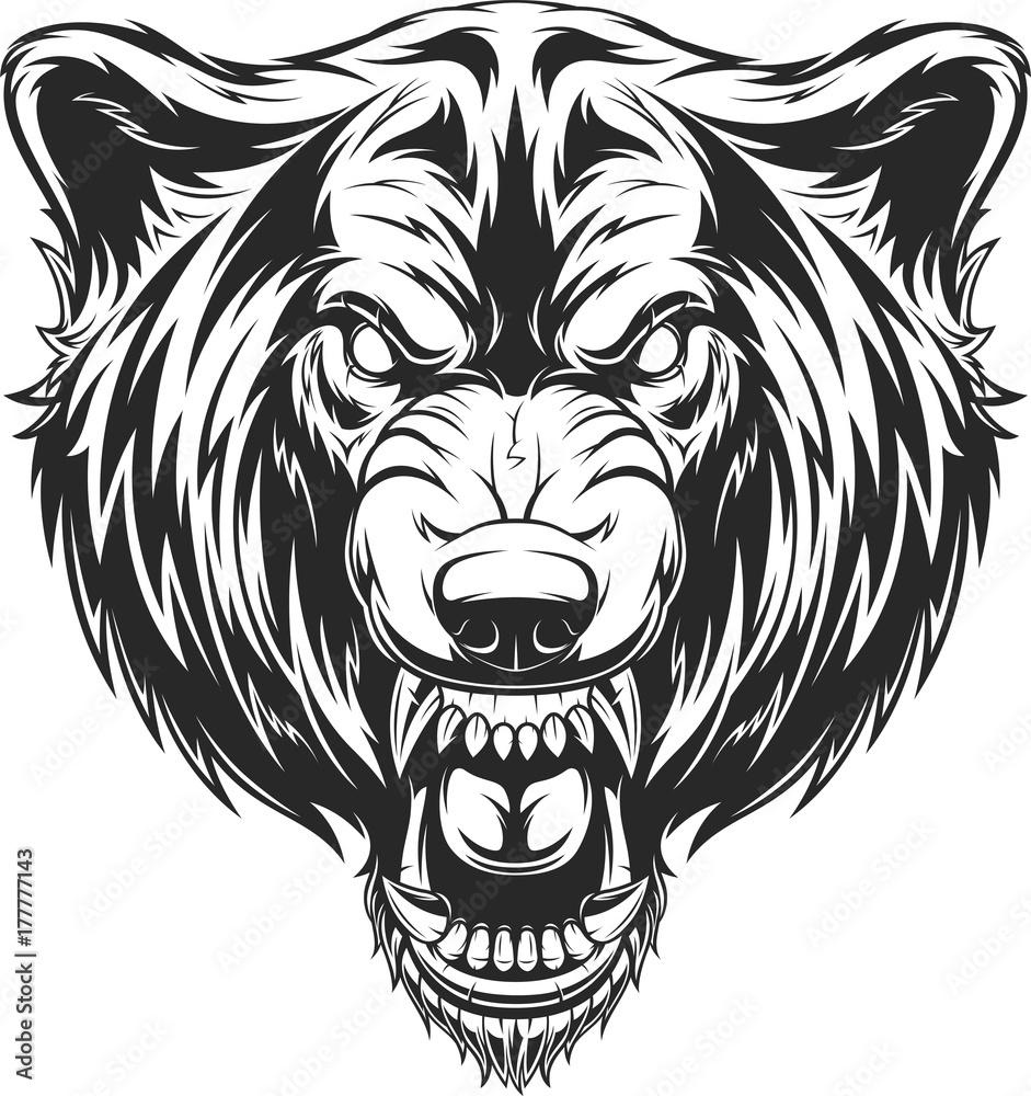 Obraz premium .The head of the ferocious wolf.
