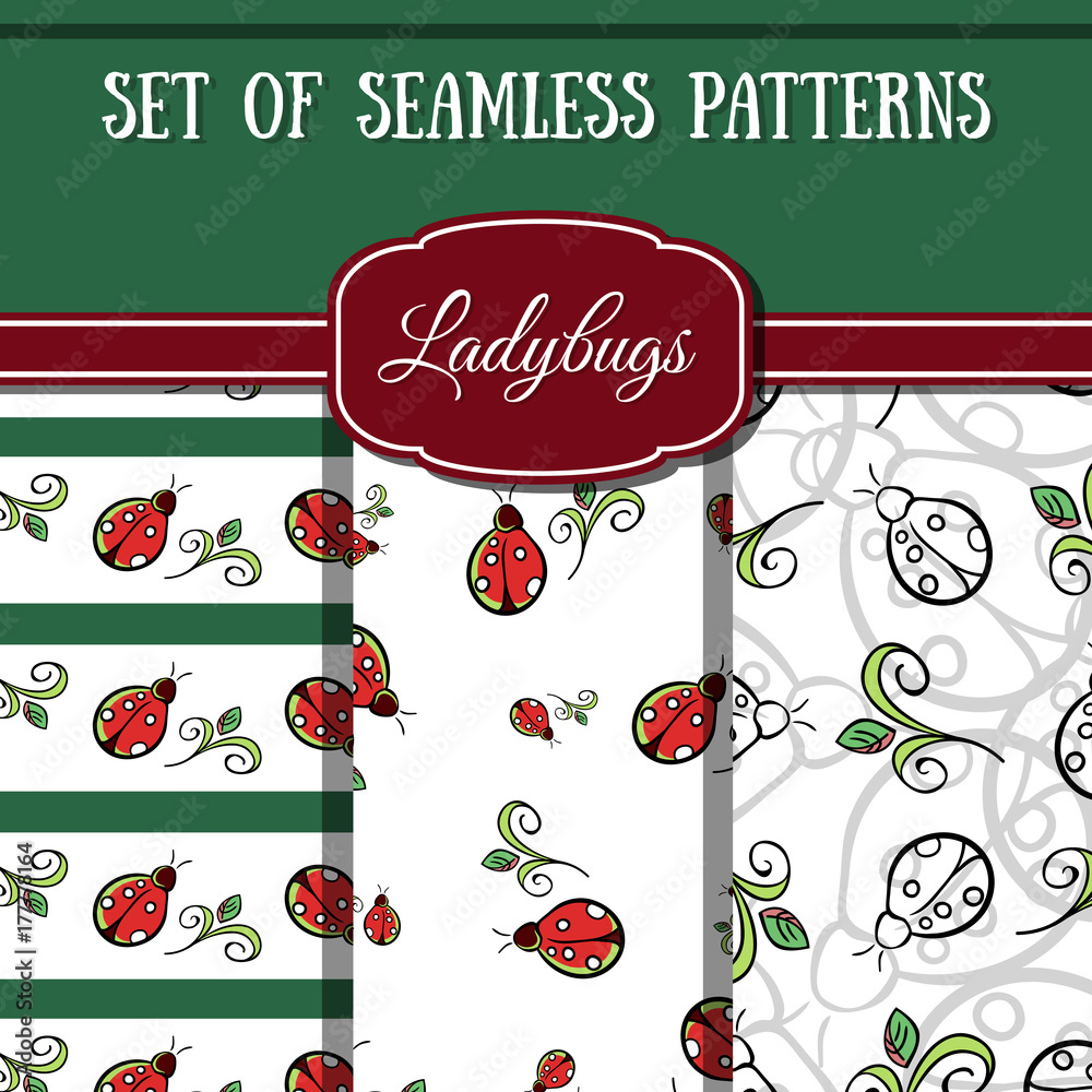 Naklejka premium Set Ladybug Patterns