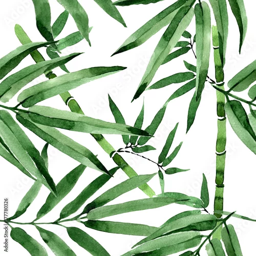 Tapety Tropikalny liść bambusa wzór drzewa w stylu przypominającym akwarele. Aquarelle dzikie liście na tło, teksturę, wzór otoki, ramki lub obramowania.