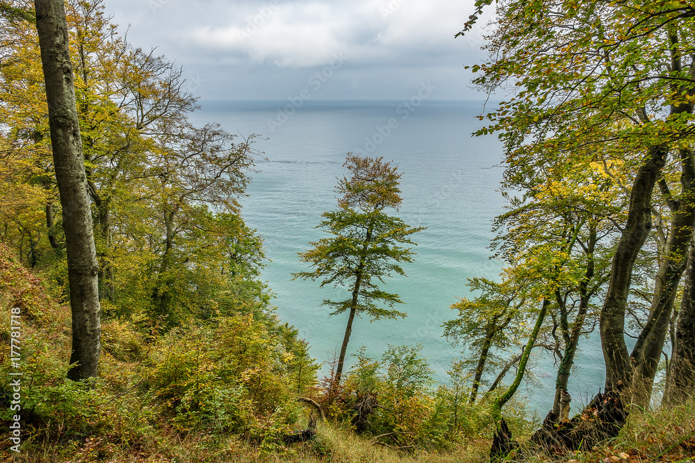 Fototapeta premium Die Ostseeküste auf der Insel Rügen im Herbst