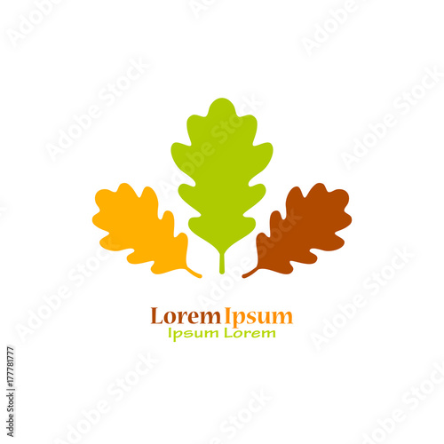 Oak leaves natural logo