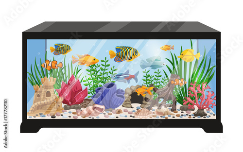 Aquarium Tank Cartoon Illustration