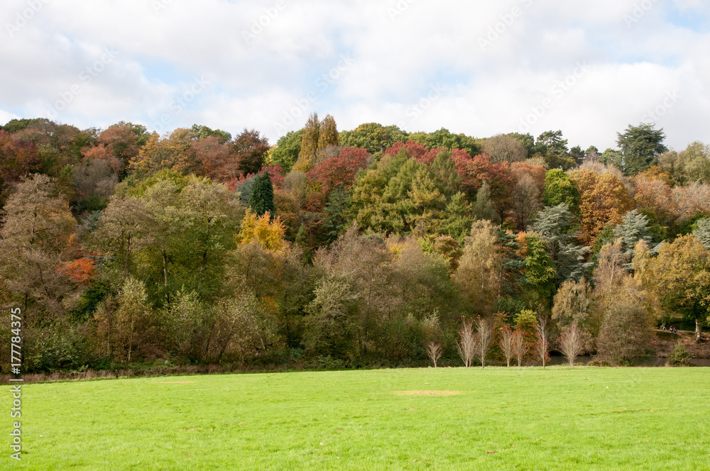 Autumnal landscapes and trees Autumnal landscapes and trees