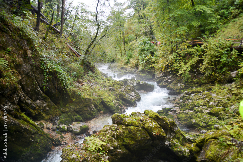 Fototapeta premium Vintgar Gorge, Slovenia