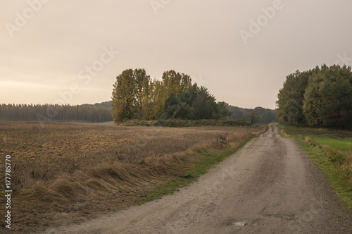 Skånska autumn landscape